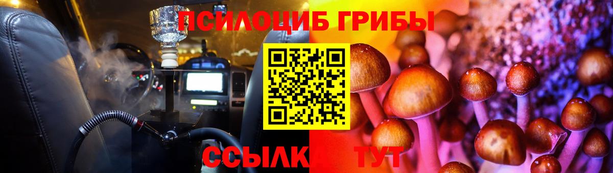 Тара  Галлюциногенные грибы мицелий  Галлюциногенные грибы Psilocybe  Вход с VPN 